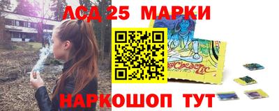 индика Шелехов