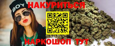 индика Шелехов