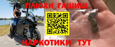 индика Шелехов